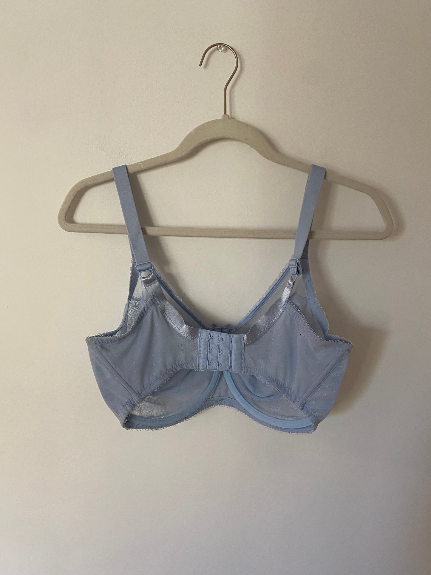 Wacoal Cloud Blue Bra